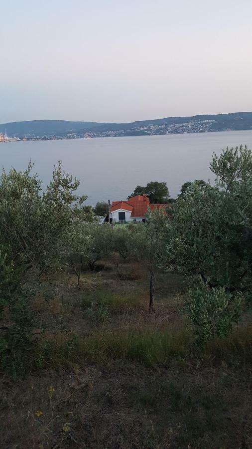 Sea View Apartments Debeli Rtic Ankaran Dış mekan fotoğraf